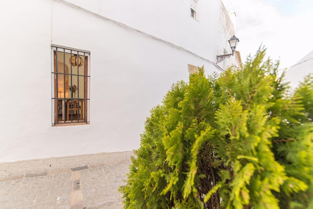 Casa La Favorita Daire Vejer de la Frontera Dış mekan fotoğraf